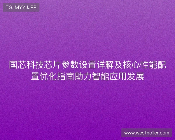 国芯科技芯片参数设置详解及核心性能配置优化指南助力智能应用发展