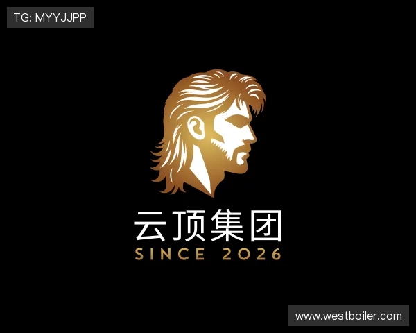 发现云顶集团